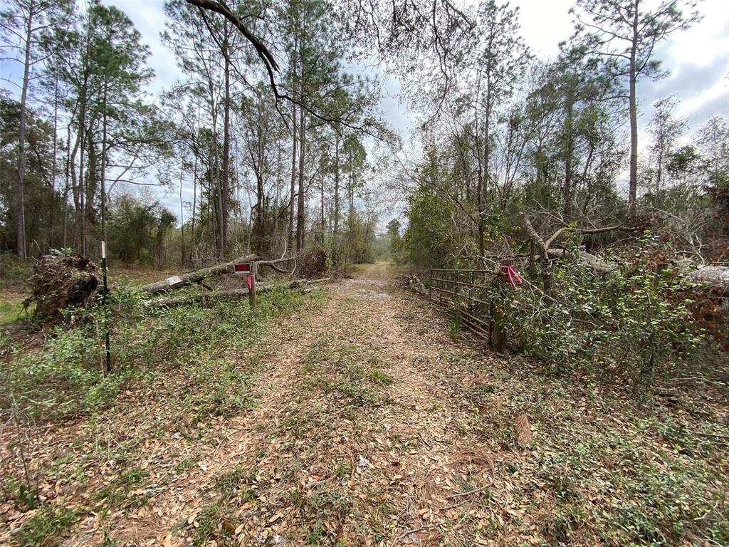 772 B Cr Webster, FL 33597 - Photo 19 of 26