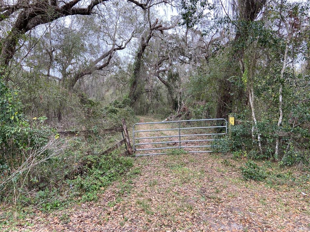 772 B Cr Webster, FL 33597 - Photo 20 of 26