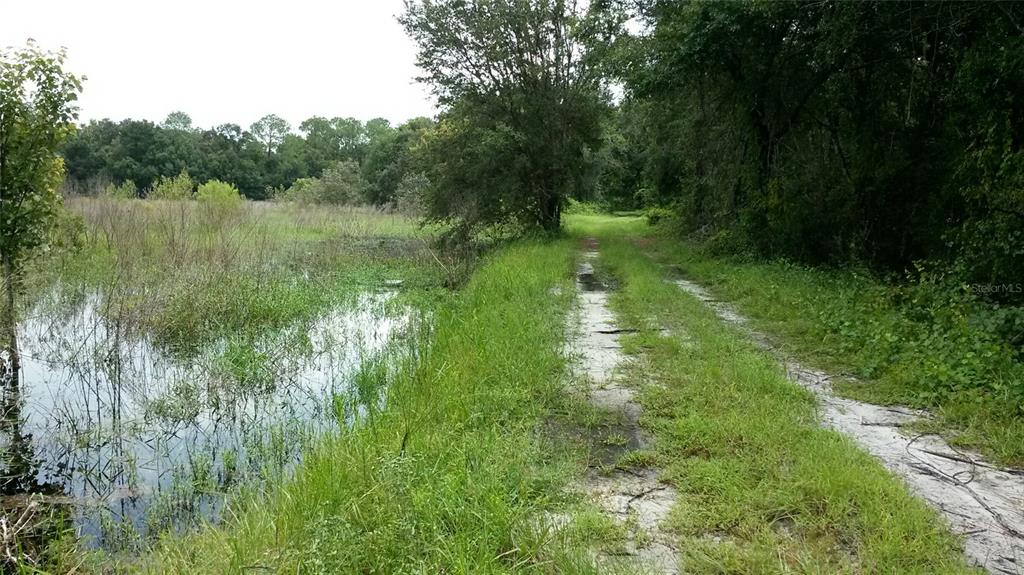 772 B Cr Webster, FL 33597 - Photo 21 of 26