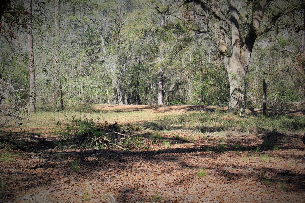 772 B Cr Webster, FL 33597 - Photo 22 of 26