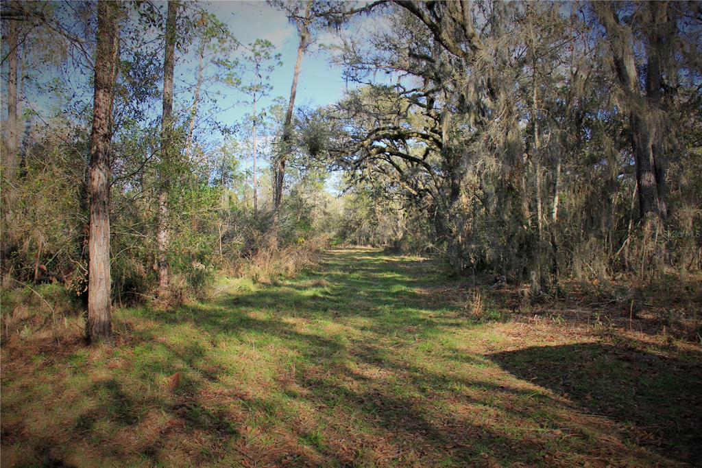 772 B Cr Webster, FL 33597 - Photo 23 of 26