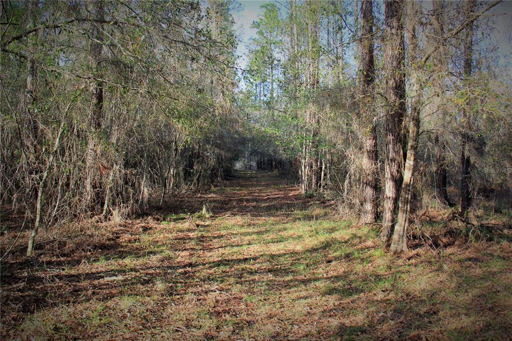 772 B Cr Webster, FL 33597 - Photo 24 of 26