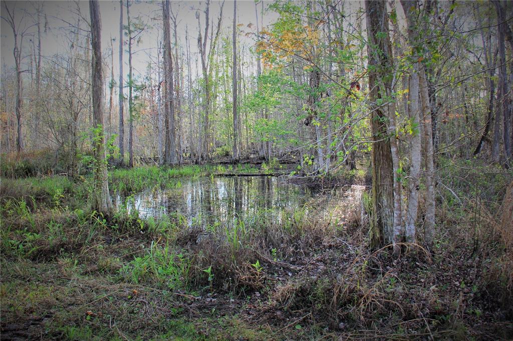 772 B Cr Webster, FL 33597 - Photo 25 of 26