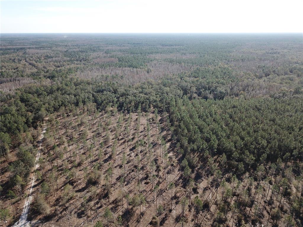 772 B Cr Webster, FL 33597 - Photo 26 of 26