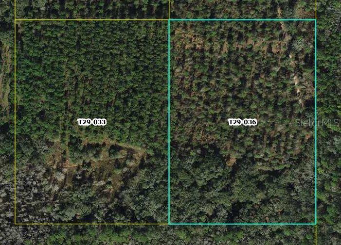 772 B Cr Webster, FL 33597 - Photo 3 of 26