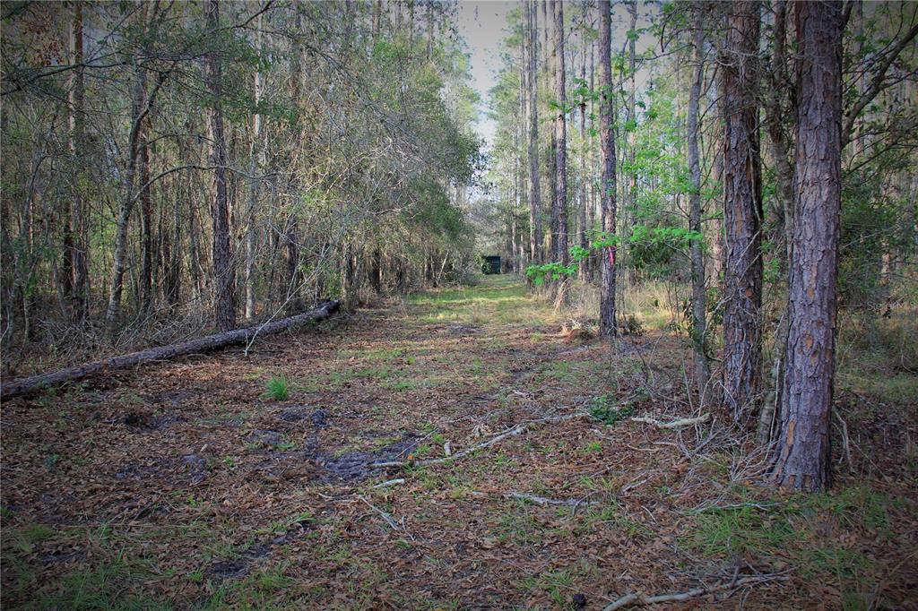 772 B Cr Webster, FL 33597 - Photo 4 of 26