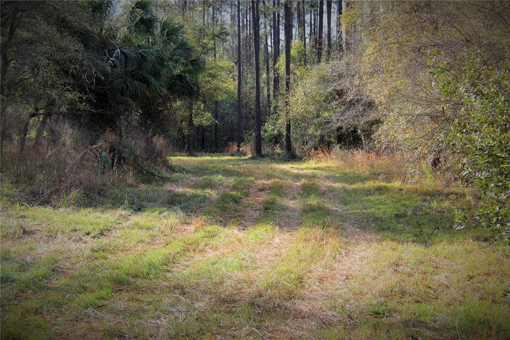 772 B Cr Webster, FL 33597 - Photo 6 of 26