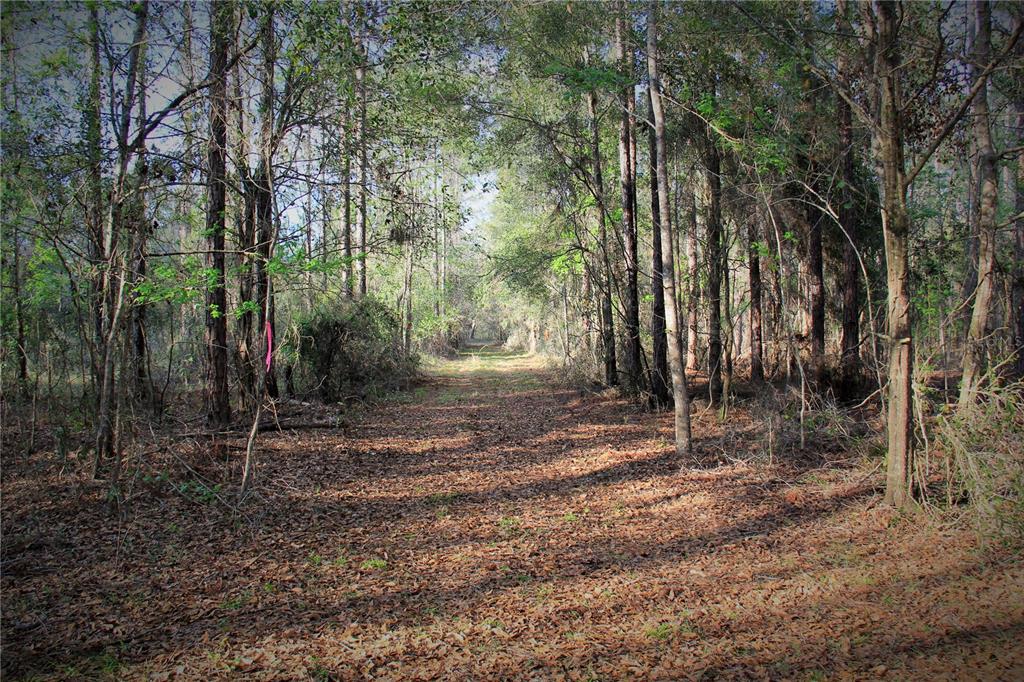 772 B Cr Webster, FL 33597 - Photo 7 of 26