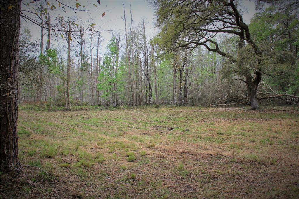 772 B Cr Webster, FL 33597 - Photo 10 of 26