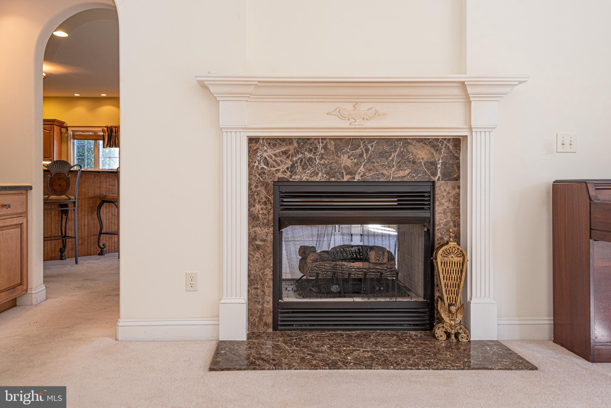 6023 Tarry Town Road Salisbury, MD 21801 - Photo 29 of 61 Elegant fireplace with marble accents.
