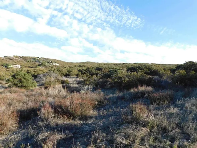a view of a lake in middle of forest