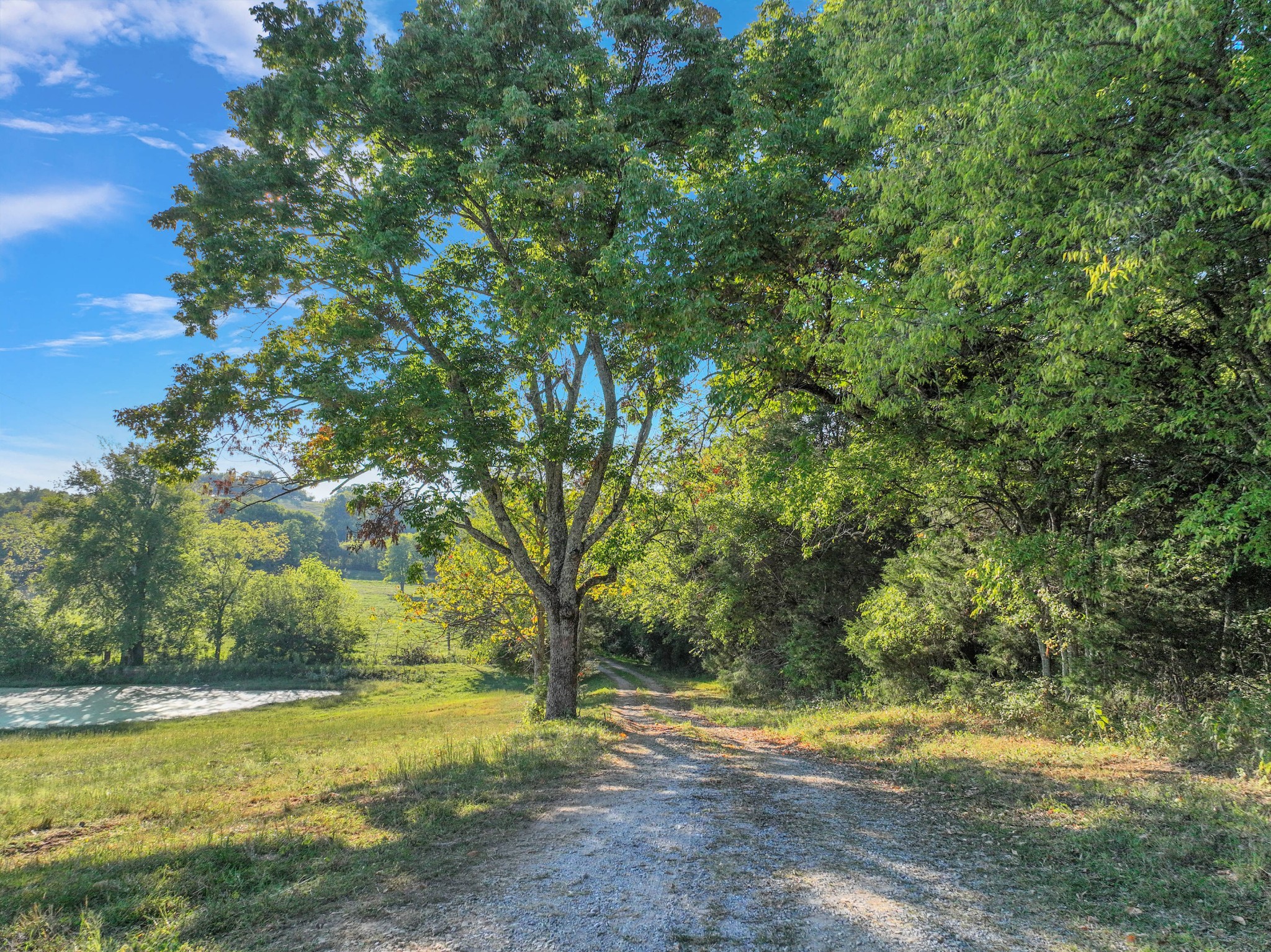 470 Templow Road Bethpage, TN 37022 - Photo 14 of 63 Gallery Image 14