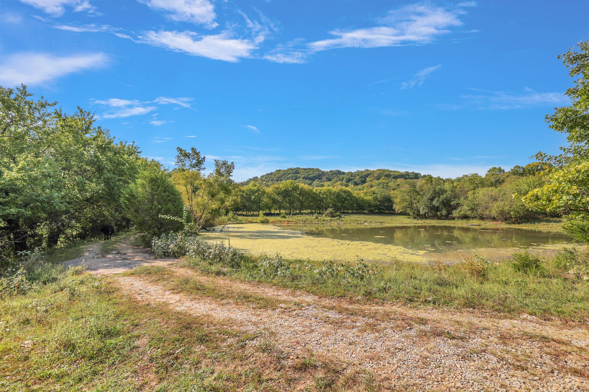 470 Templow Road Bethpage, TN 37022 - Photo 18 of 63 Gallery Image 18