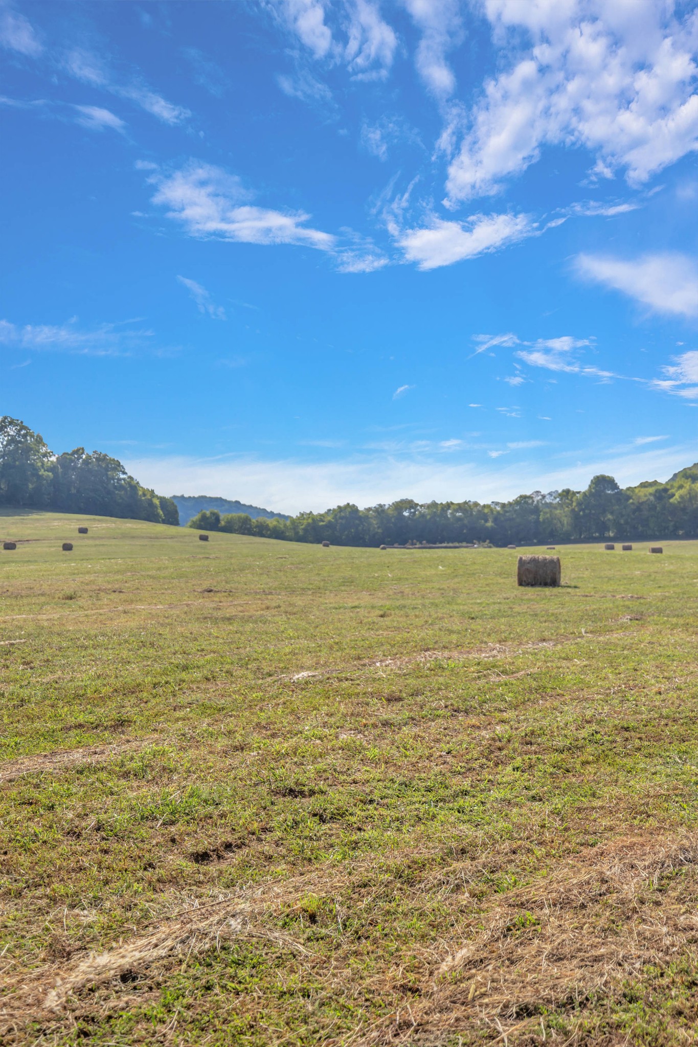 470 Templow Road Bethpage, TN 37022 - Photo 25 of 63 Gallery Image 25