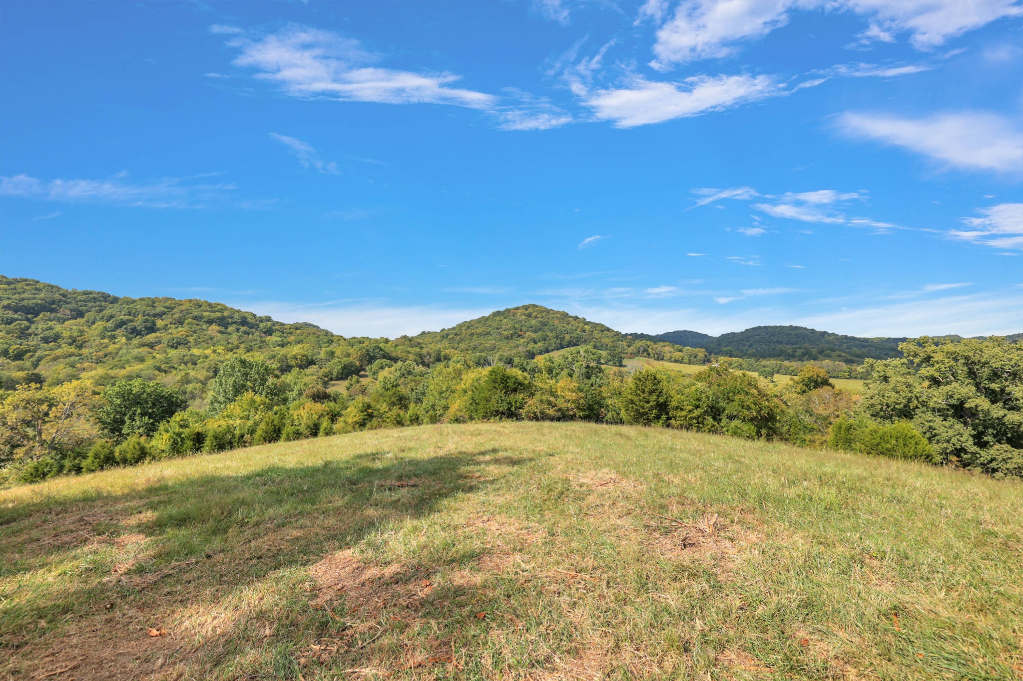 470 Templow Road Bethpage, TN 37022 - Photo 3 of 63 Gallery Image 3