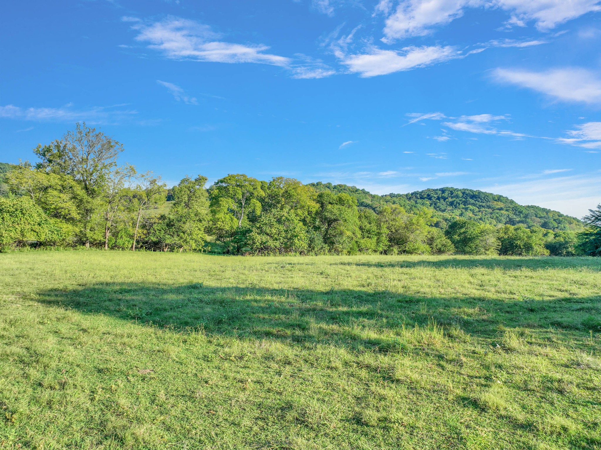 470 Templow Road Bethpage, TN 37022 - Photo 32 of 63 Gallery Image 32