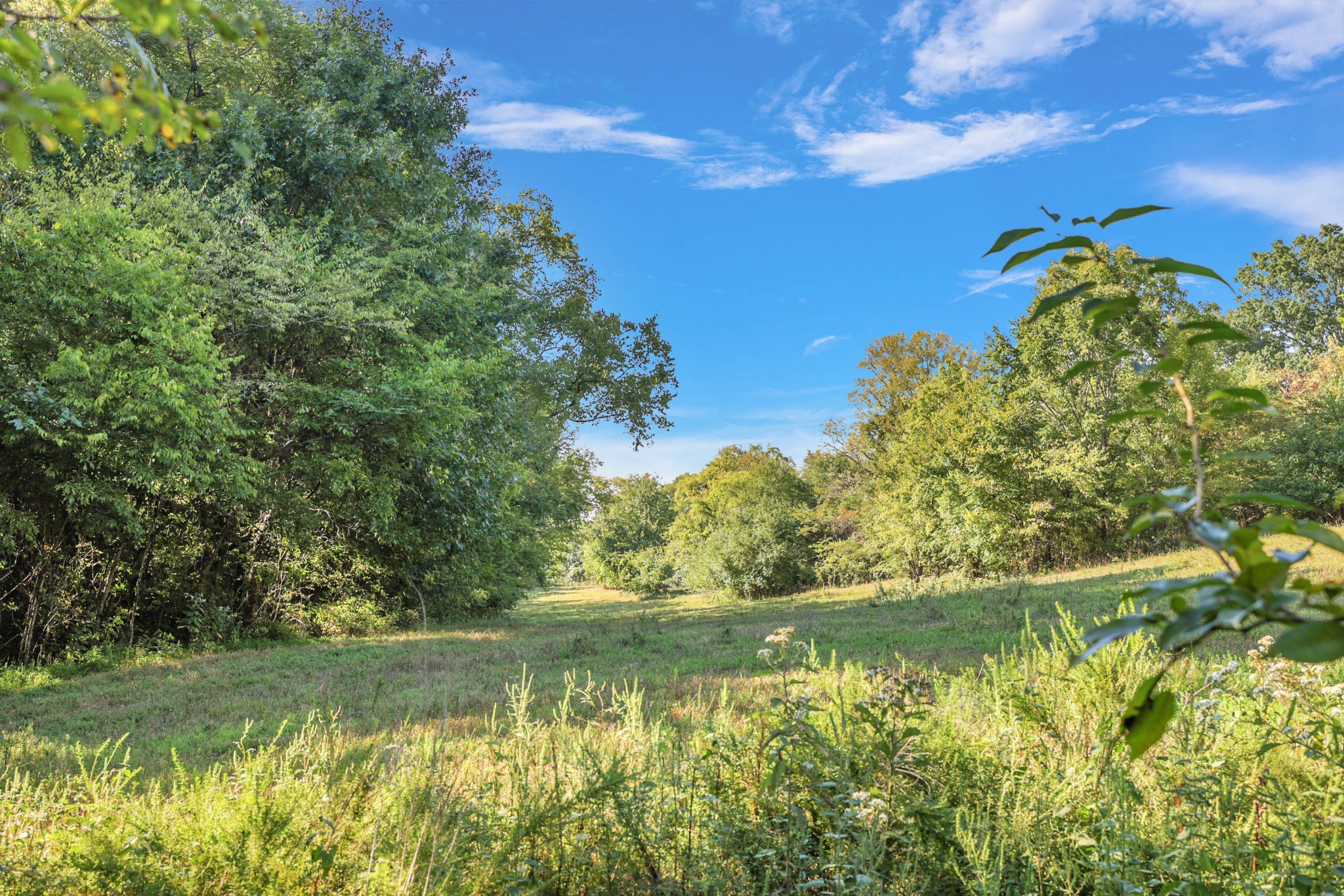 470 Templow Road Bethpage, TN 37022 - Photo 34 of 63 Gallery Image 34