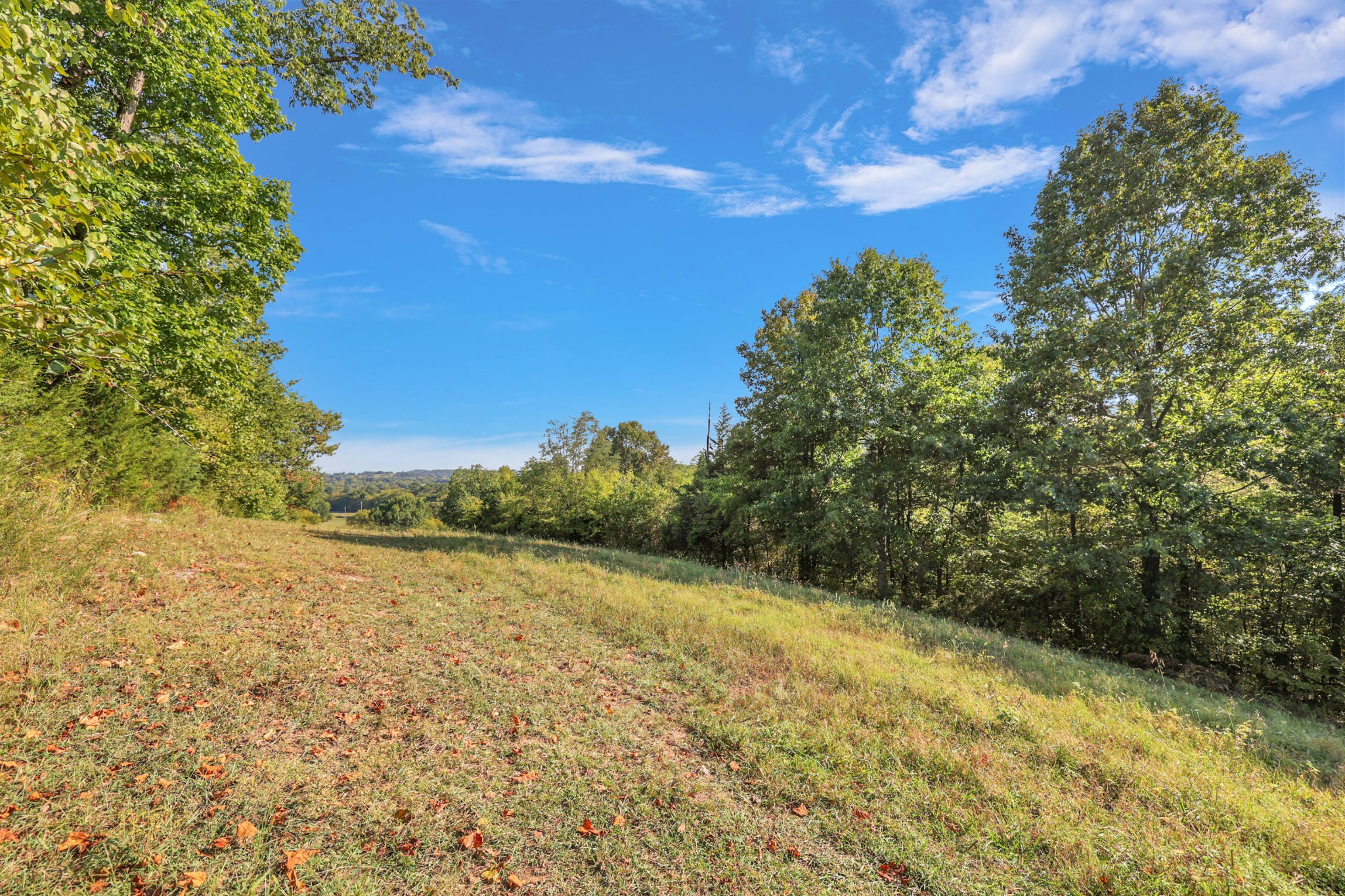 470 Templow Road Bethpage, TN 37022 - Photo 36 of 63 Gallery Image 36