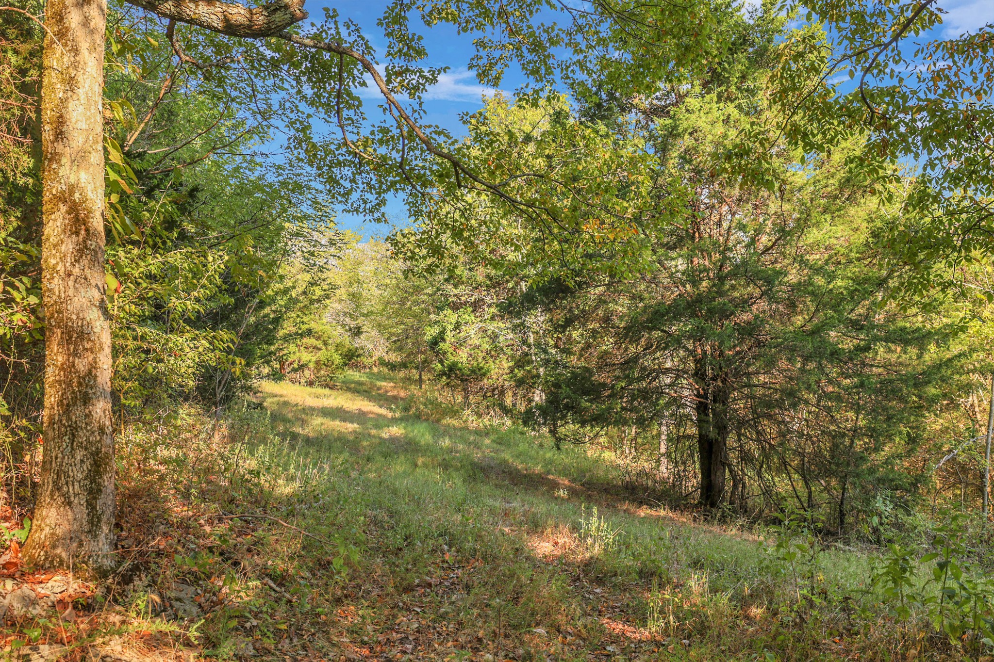 470 Templow Road Bethpage, TN 37022 - Photo 37 of 63 Gallery Image 37