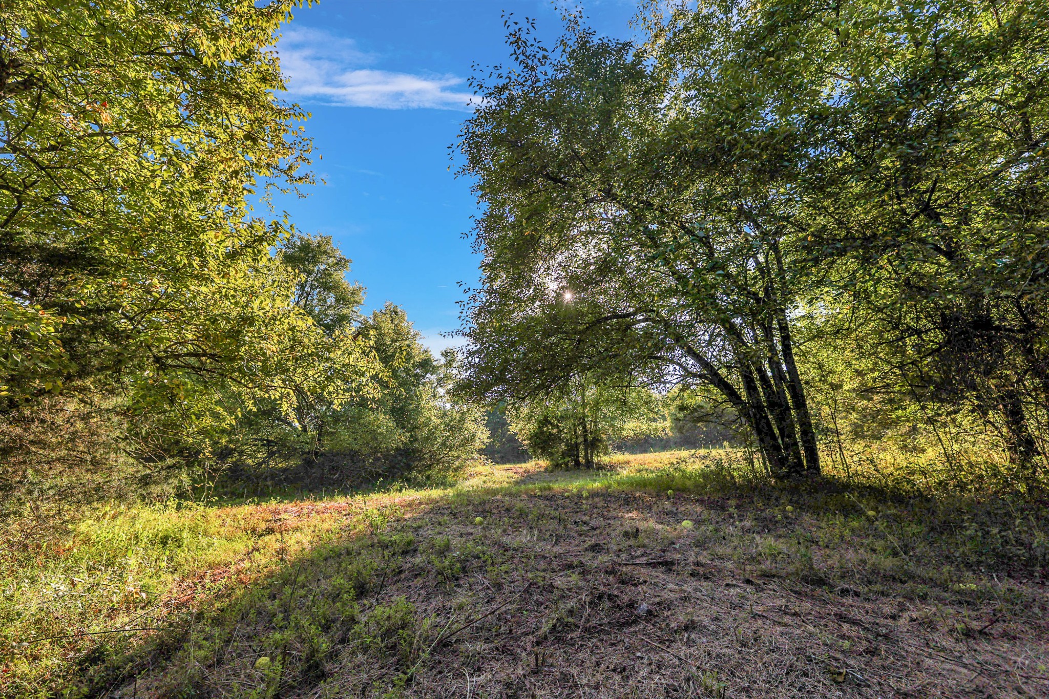 470 Templow Road Bethpage, TN 37022 - Photo 38 of 63 Gallery Image 38