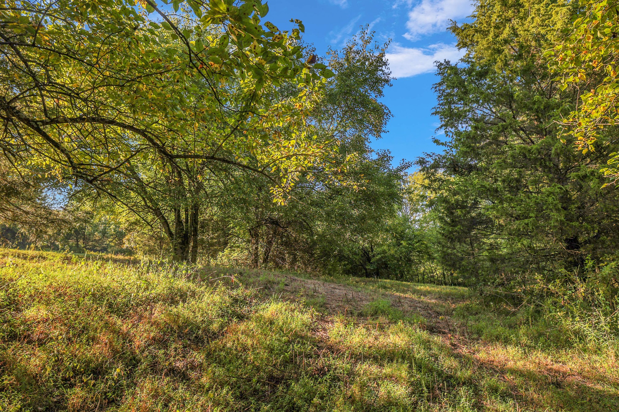 470 Templow Road Bethpage, TN 37022 - Photo 39 of 63 Gallery Image 39