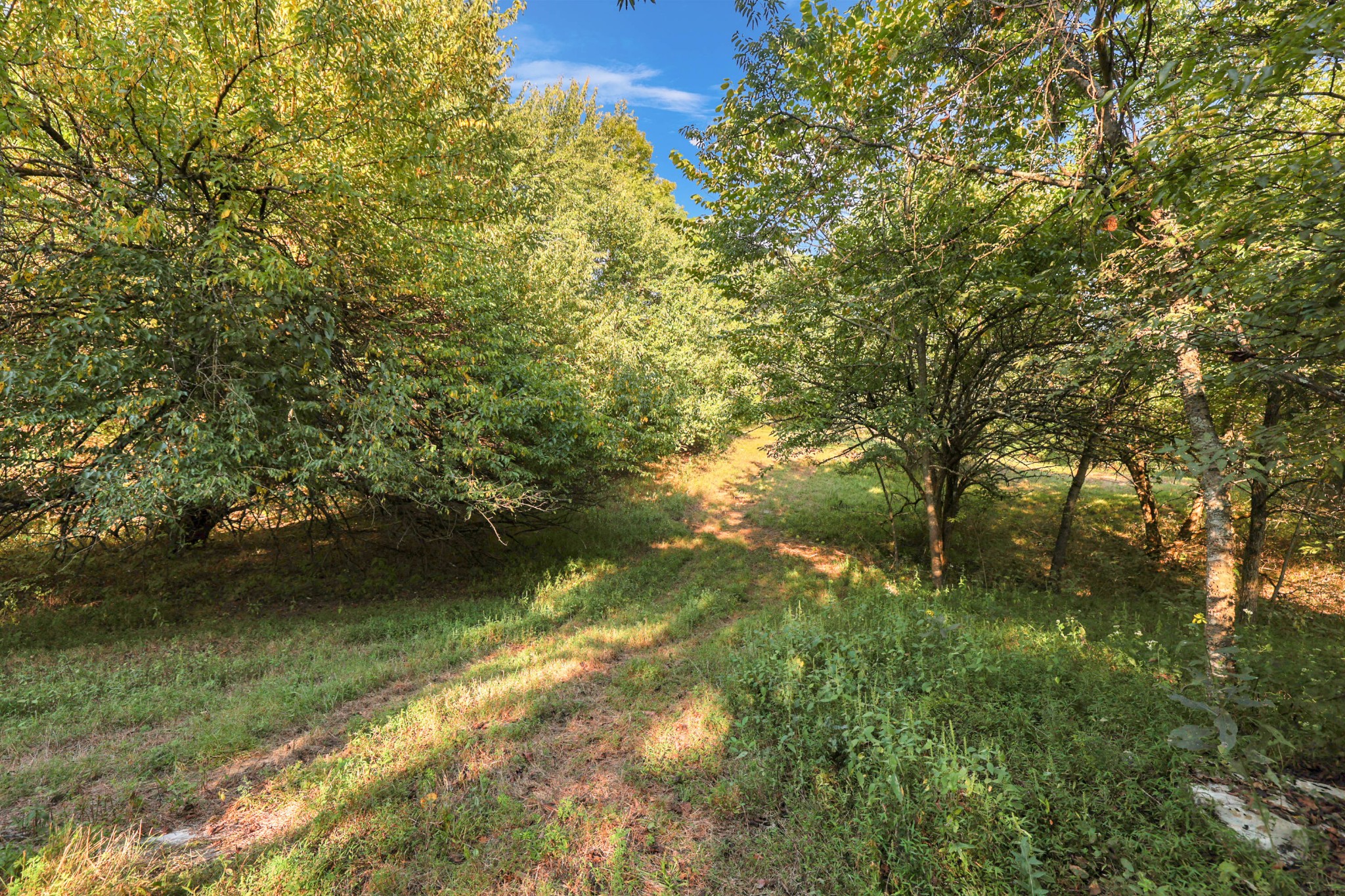 470 Templow Road Bethpage, TN 37022 - Photo 40 of 63 Gallery Image 40
