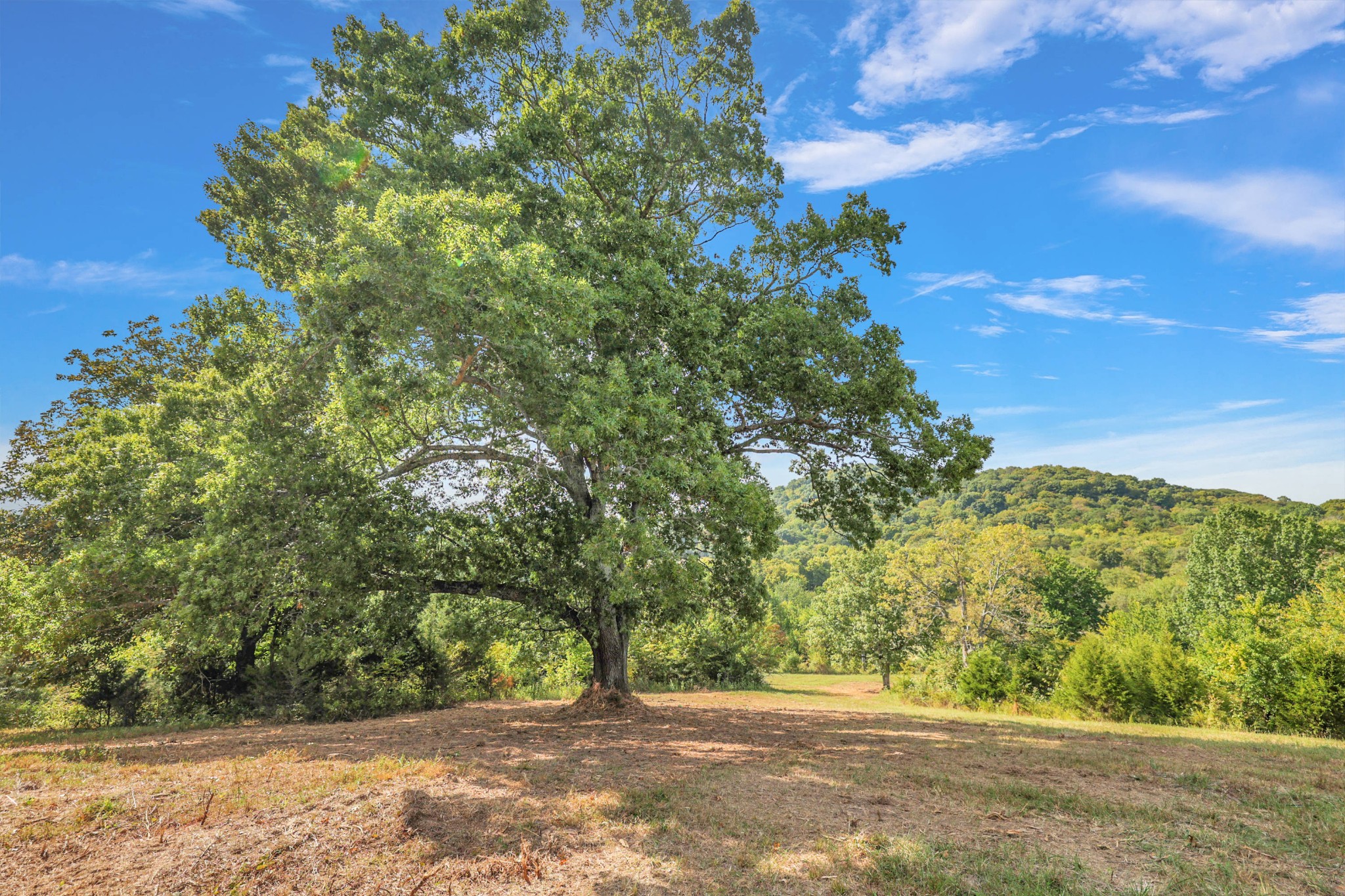 470 Templow Road Bethpage, TN 37022 - Photo 4 of 63 Gallery Image 4