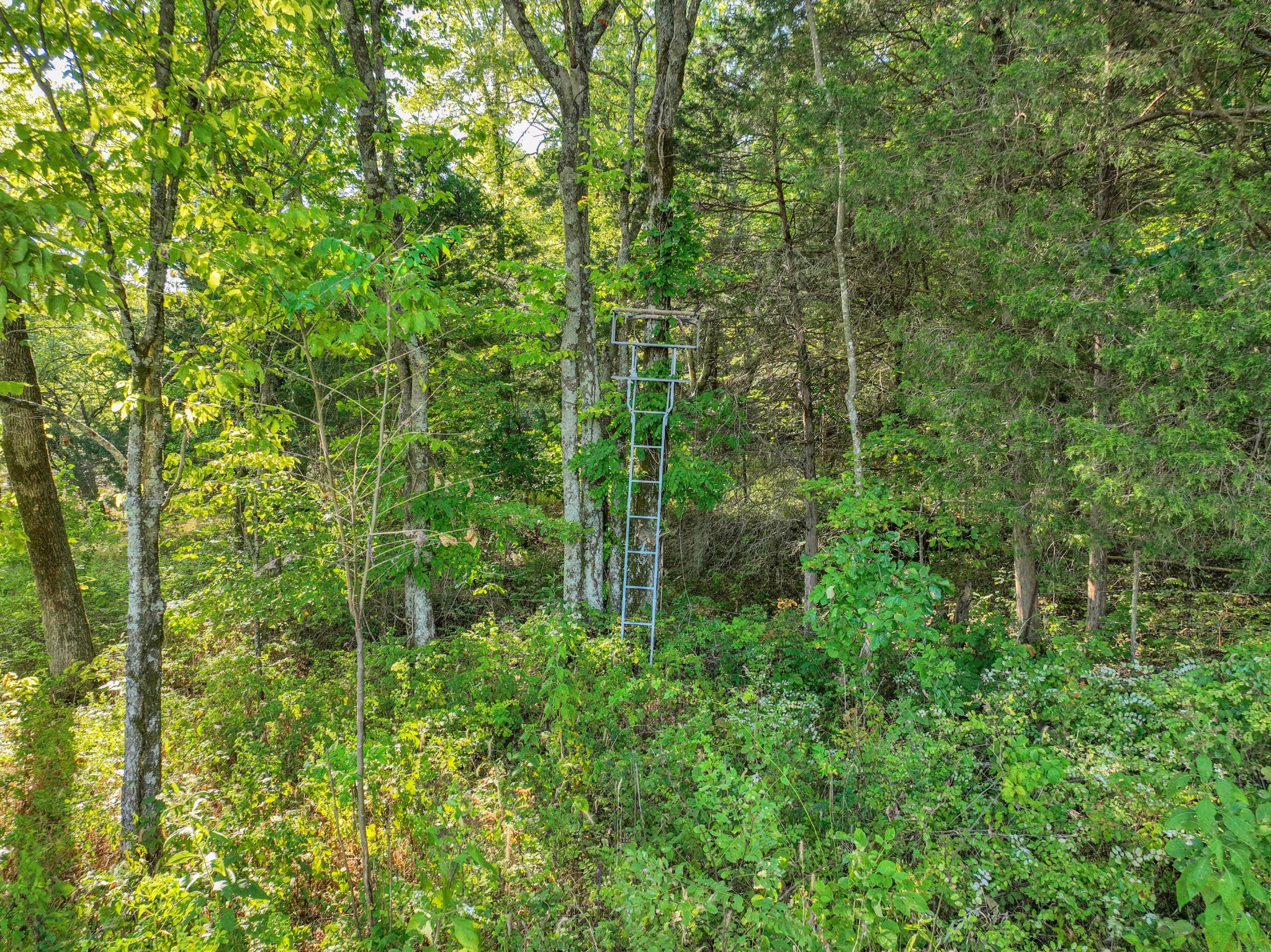 470 Templow Road Bethpage, TN 37022 - Photo 42 of 63 Gallery Image 42