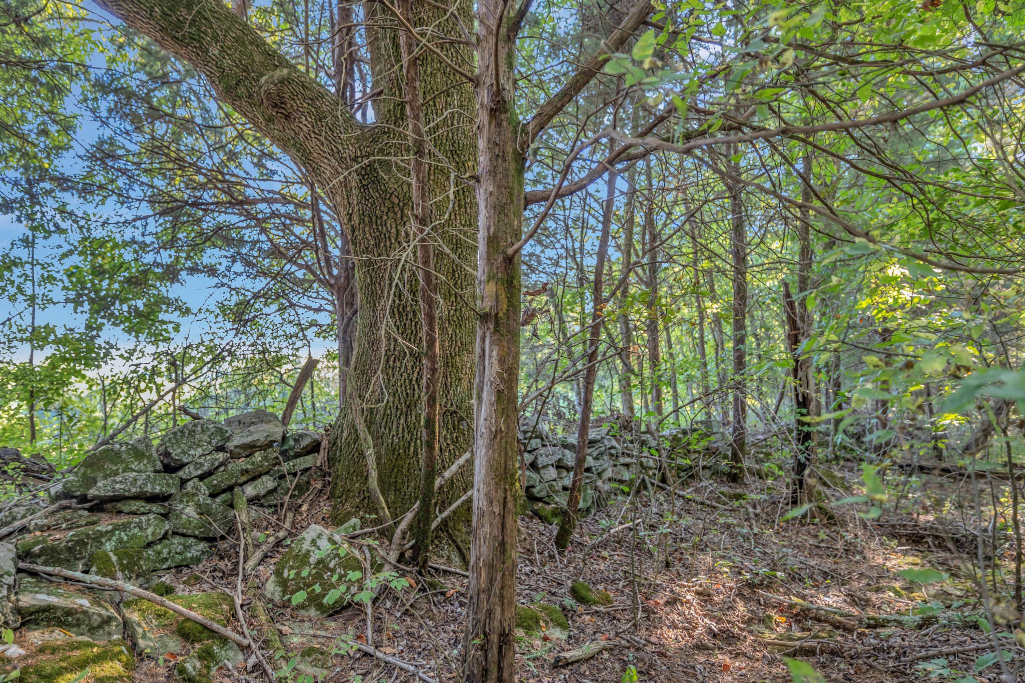 470 Templow Road Bethpage, TN 37022 - Photo 43 of 63 Gallery Image 43