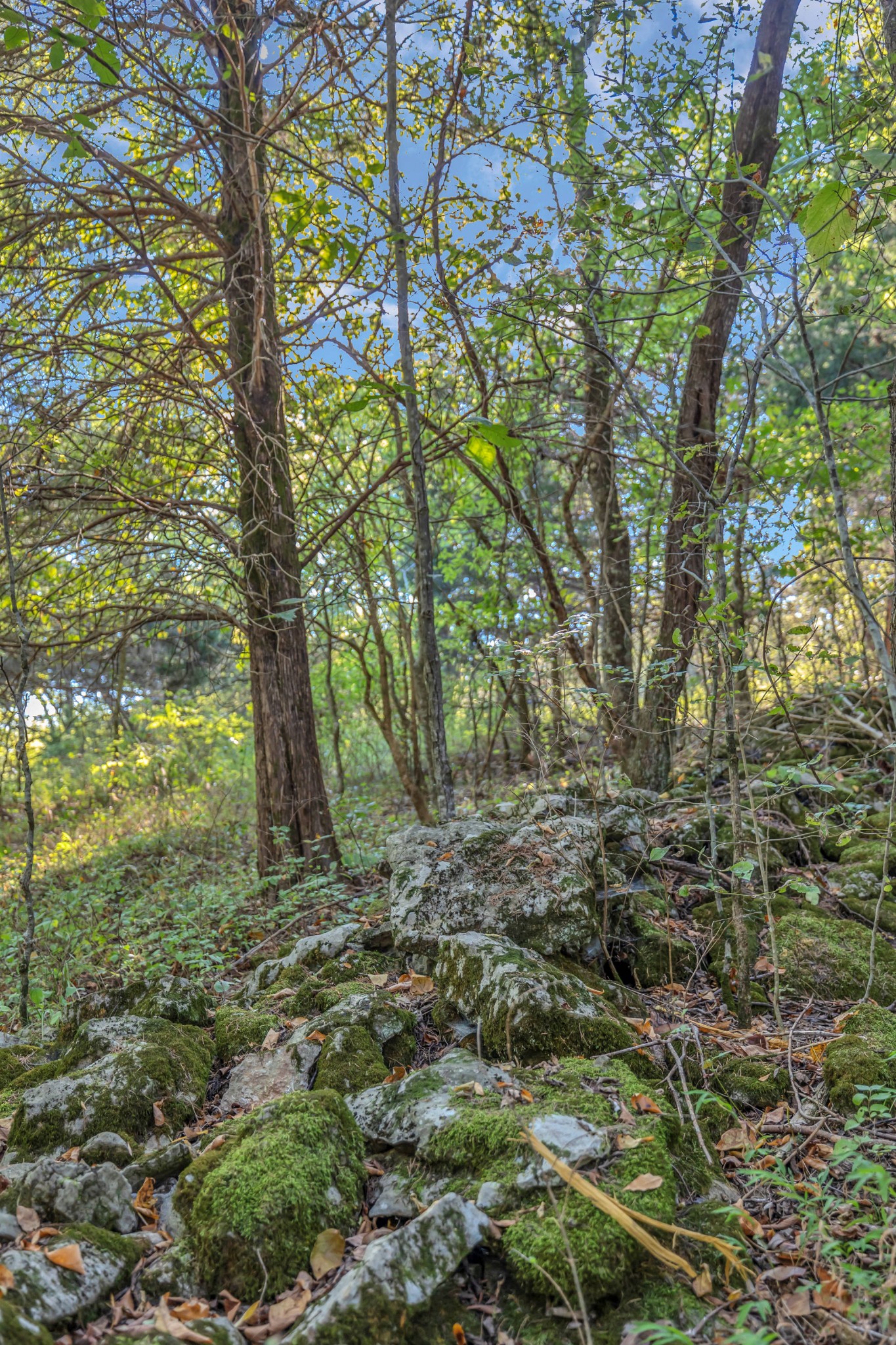 470 Templow Road Bethpage, TN 37022 - Photo 45 of 63 Gallery Image 45