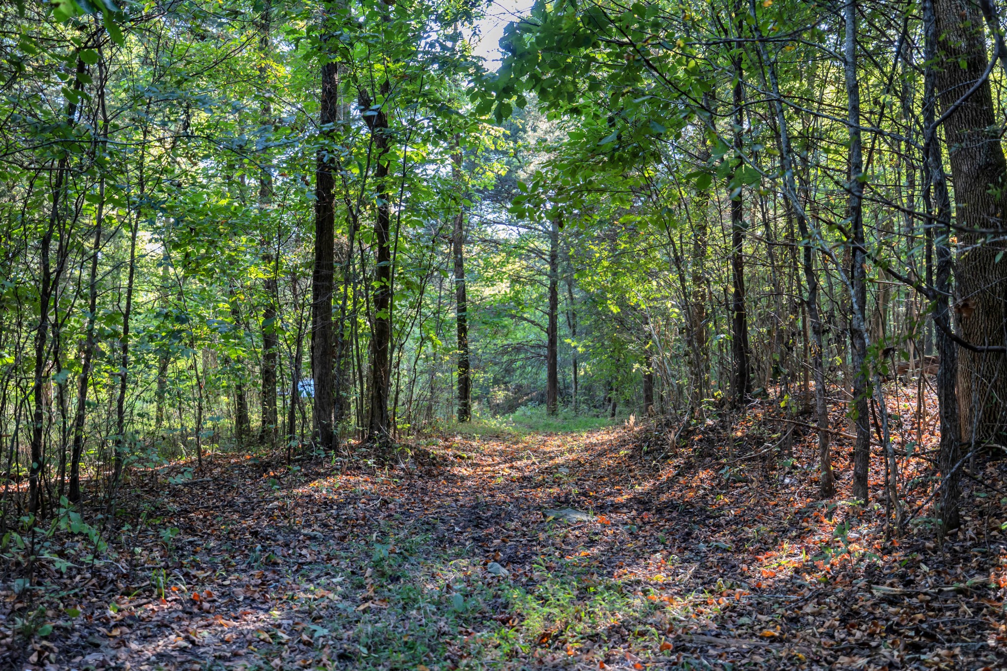 470 Templow Road Bethpage, TN 37022 - Photo 46 of 63 Gallery Image 46