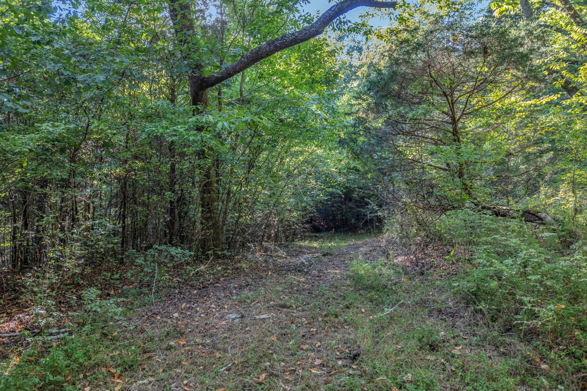 470 Templow Road Bethpage, TN 37022 - Photo 48 of 63 Gallery Image 48