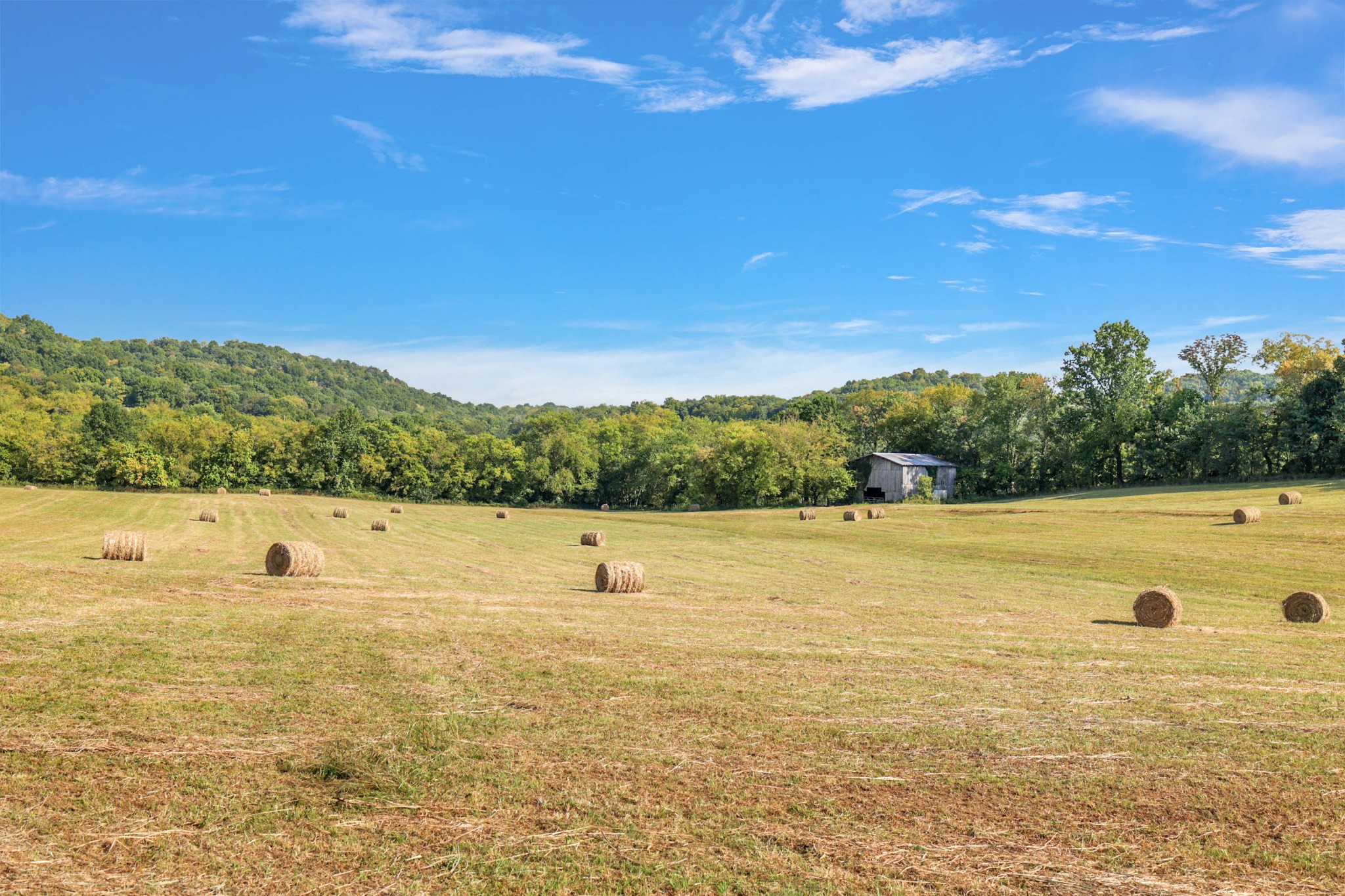 470 Templow Road Bethpage, TN 37022 - Photo 5 of 63 Gallery Image 5