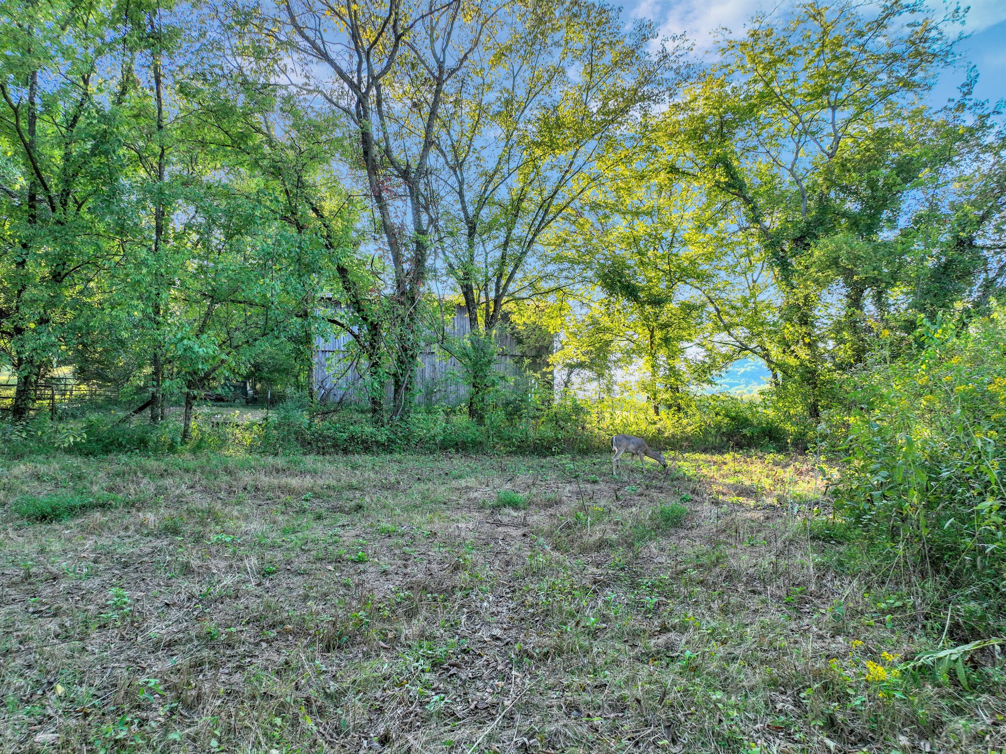 470 Templow Road Bethpage, TN 37022 - Photo 56 of 63 Gallery Image 56