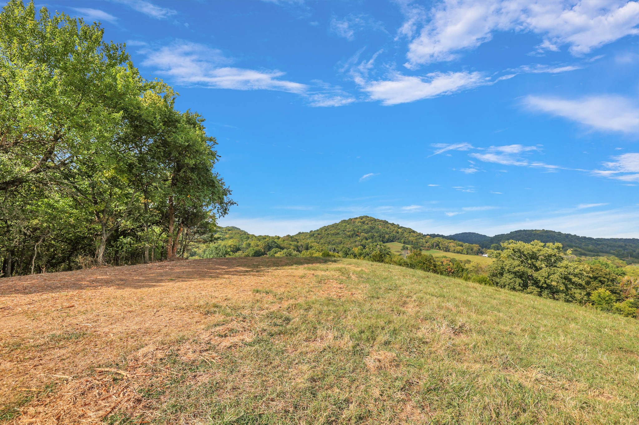 470 Templow Road Bethpage, TN 37022 - Photo 7 of 63 Gallery Image 7