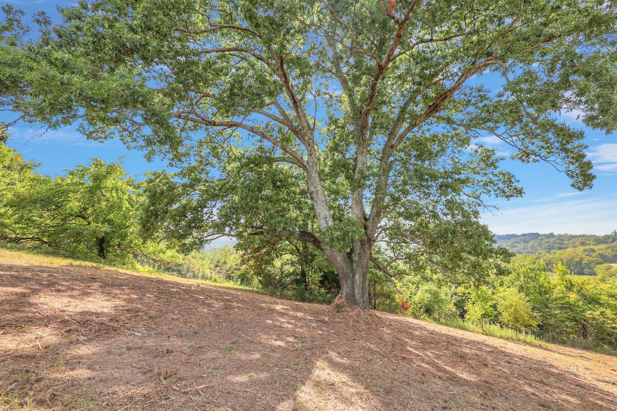 470 Templow Road Bethpage, TN 37022 - Photo 8 of 63 Gallery Image 8
