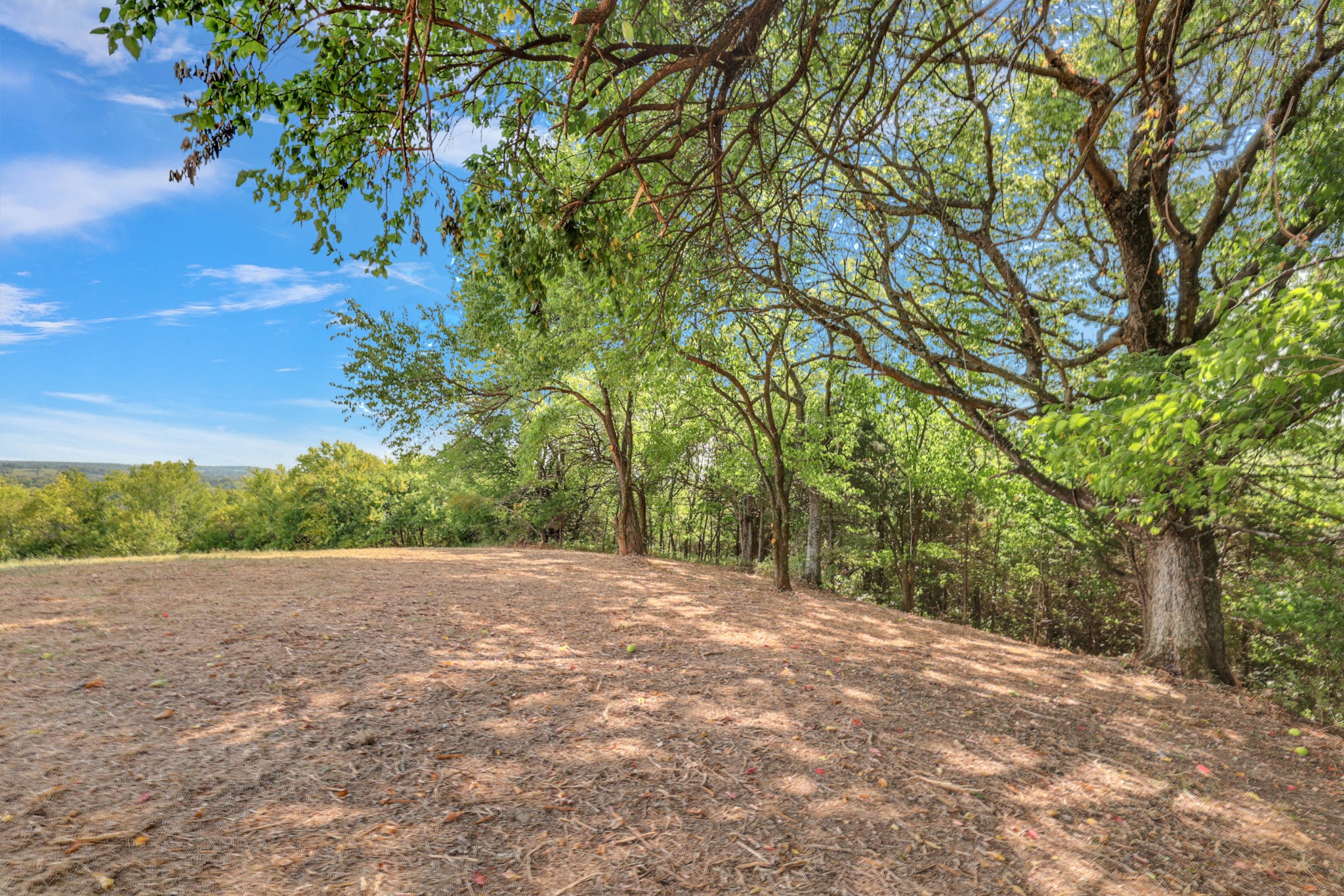 470 Templow Road Bethpage, TN 37022 - Photo 10 of 63 Gallery Image 10