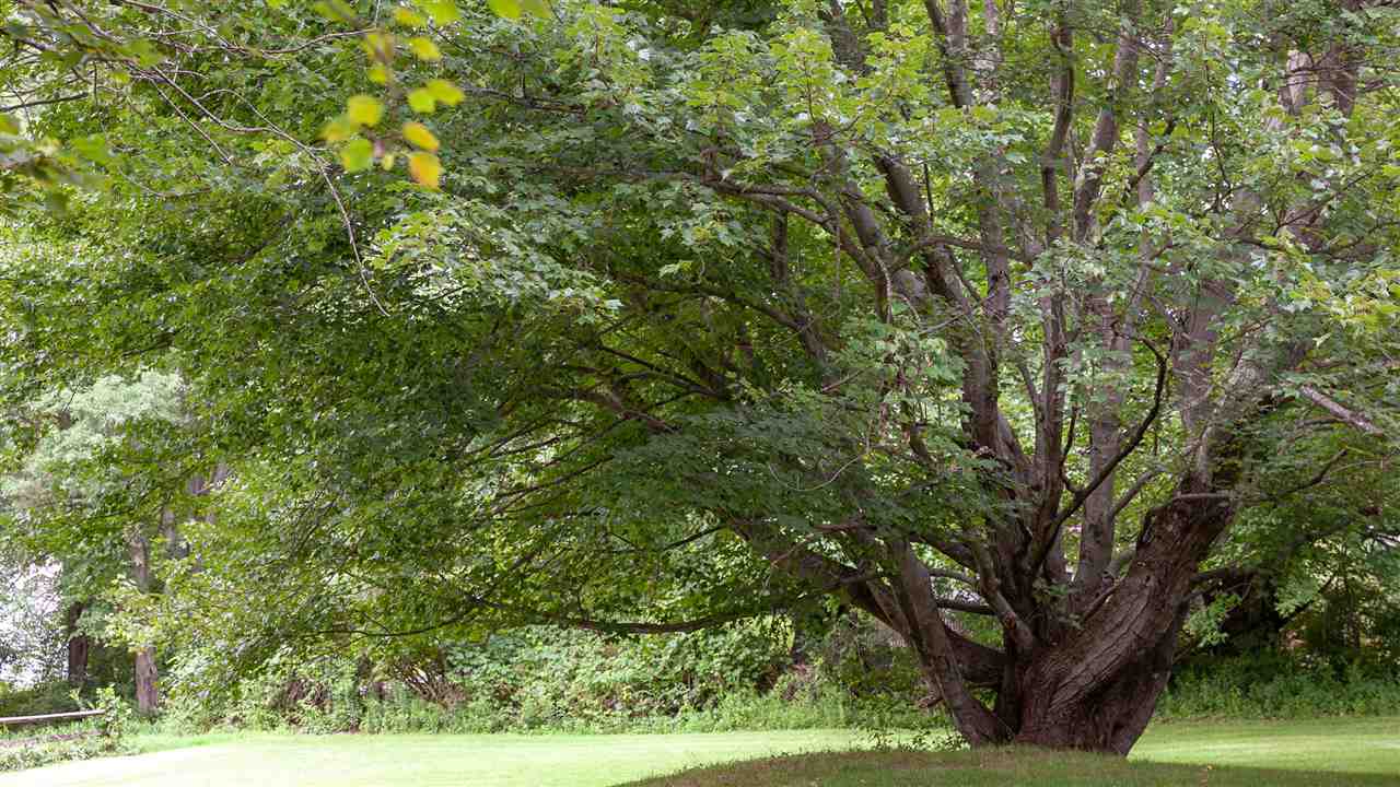 48 Old Keene Road Walpole, NH 03608 - Photo 29 of 40
