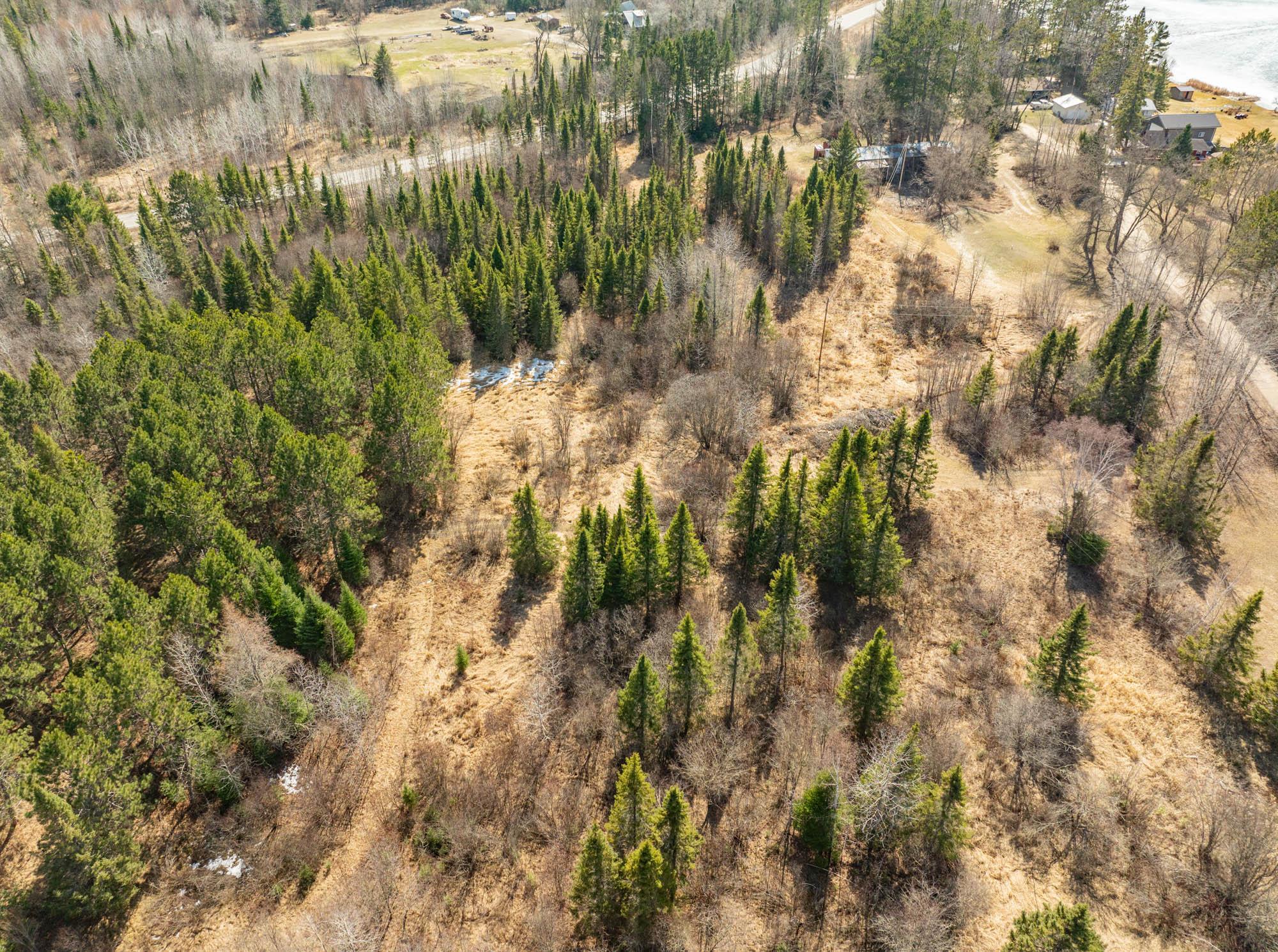 49616 Center Point Road Bigfork, MN 56628 - Photo 61 of 66