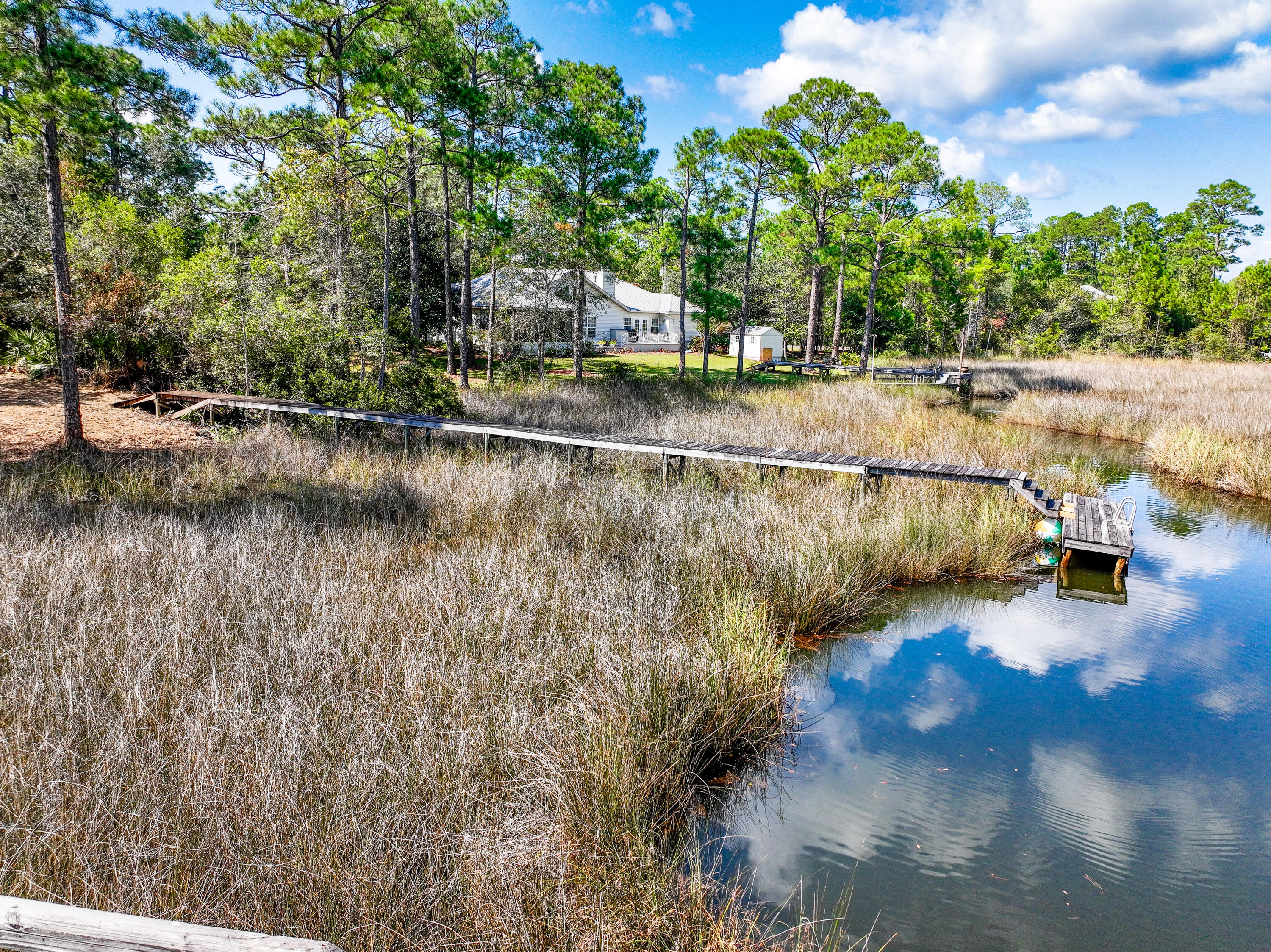 212 Pisces Drive Santa Rosa Beach, FL 32459 - Photo 14 of 17 a view of small yard with large trees