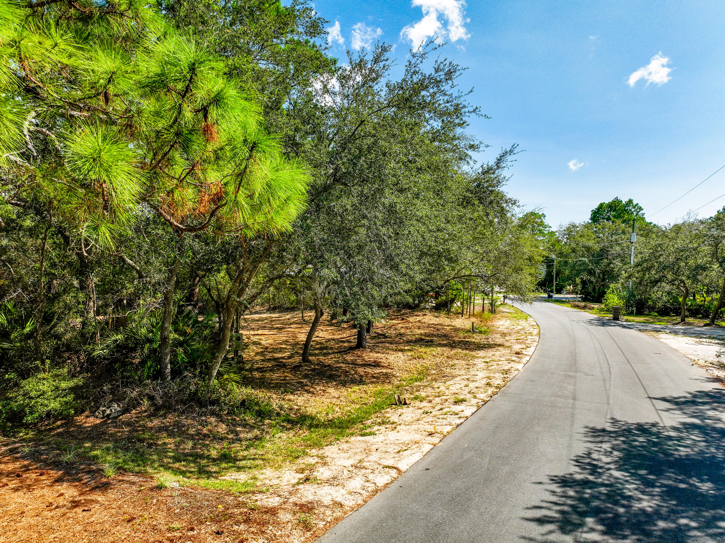 212 Pisces Drive Santa Rosa Beach, FL 32459 - Photo 17 of 17 a view of a yard with a tree