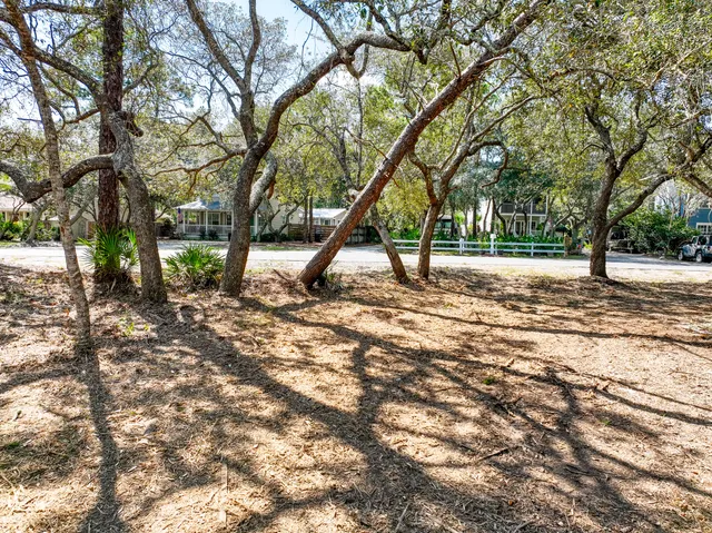 a view of a yard with a tree