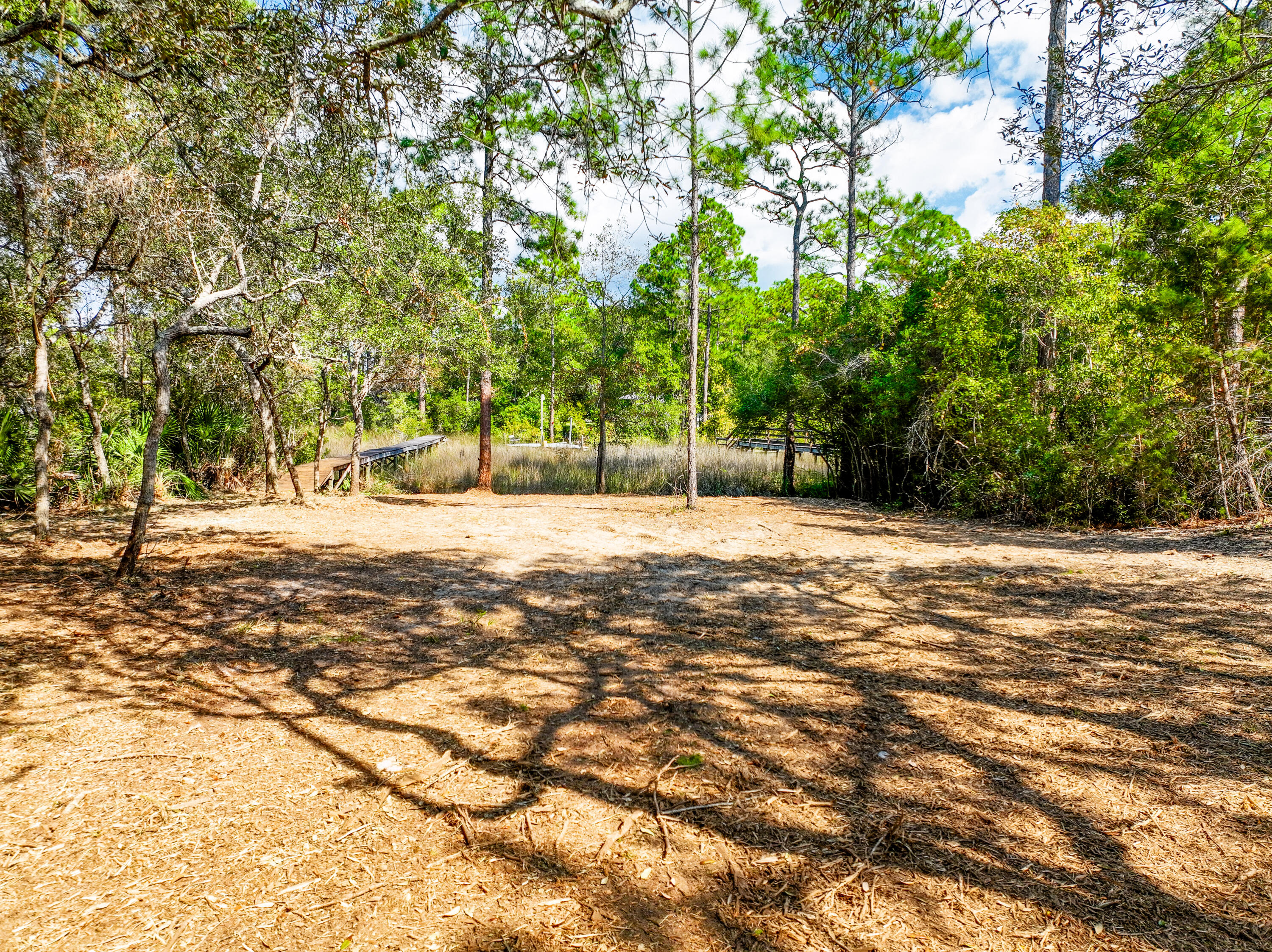 212 Pisces Drive Santa Rosa Beach, FL 32459 - Photo 5 of 17 a view of a yard with a tree