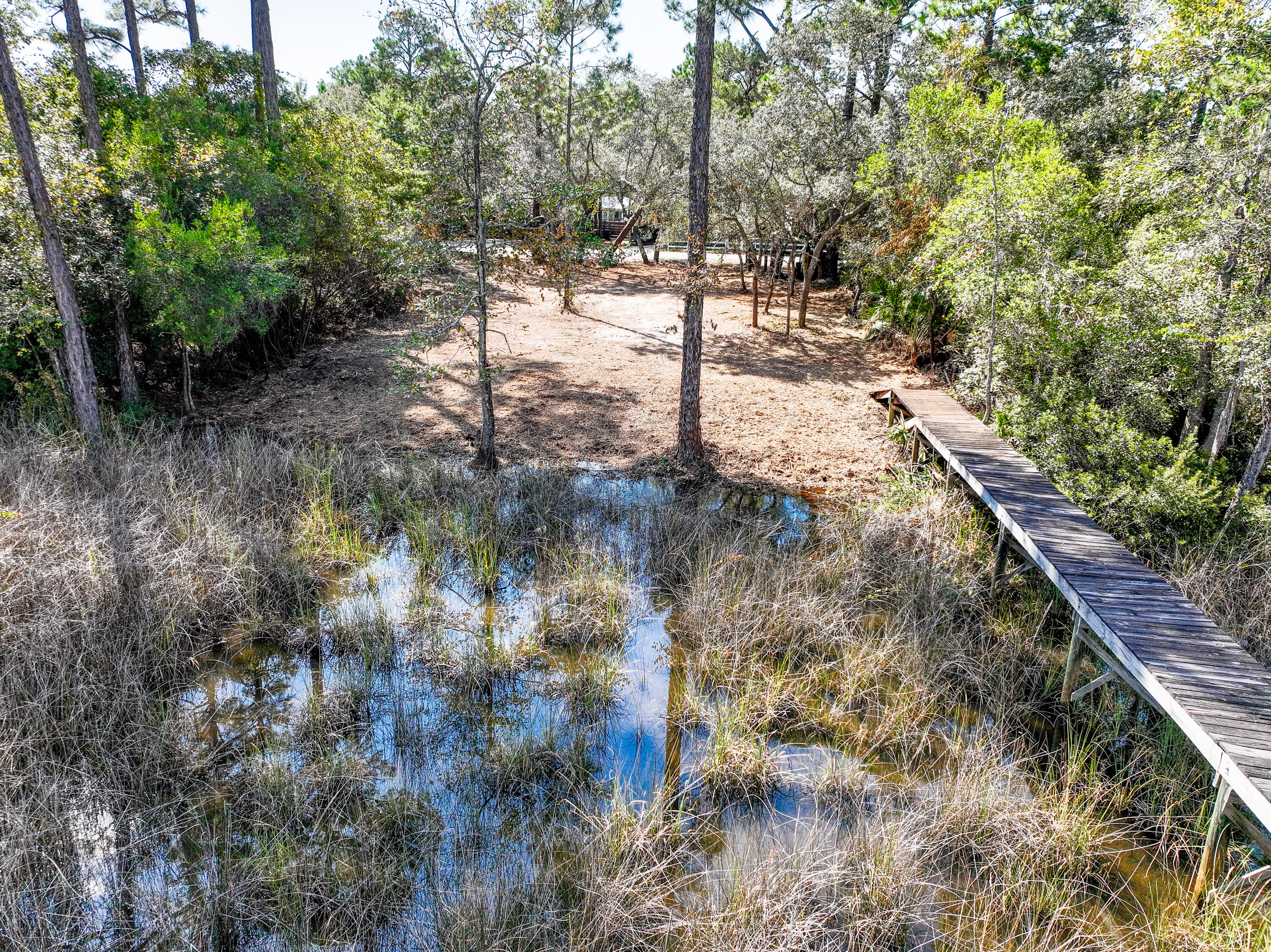 212 Pisces Drive Santa Rosa Beach, FL 32459 - Photo 6 of 17 a view of a forest with trees