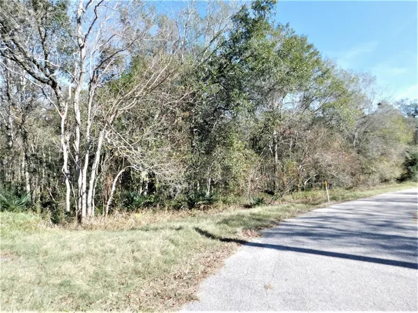 a view of a yard with trees