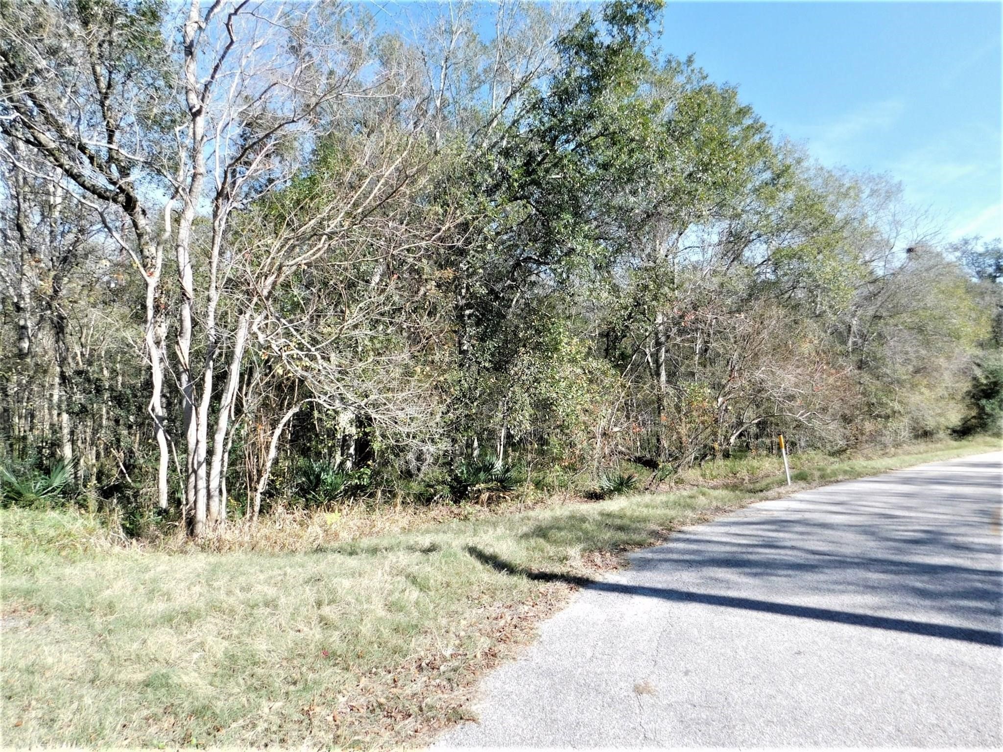 0 Brazos River Road Rosharon, TX 77583 - Photo 1 of 8 a view of a yard with trees
