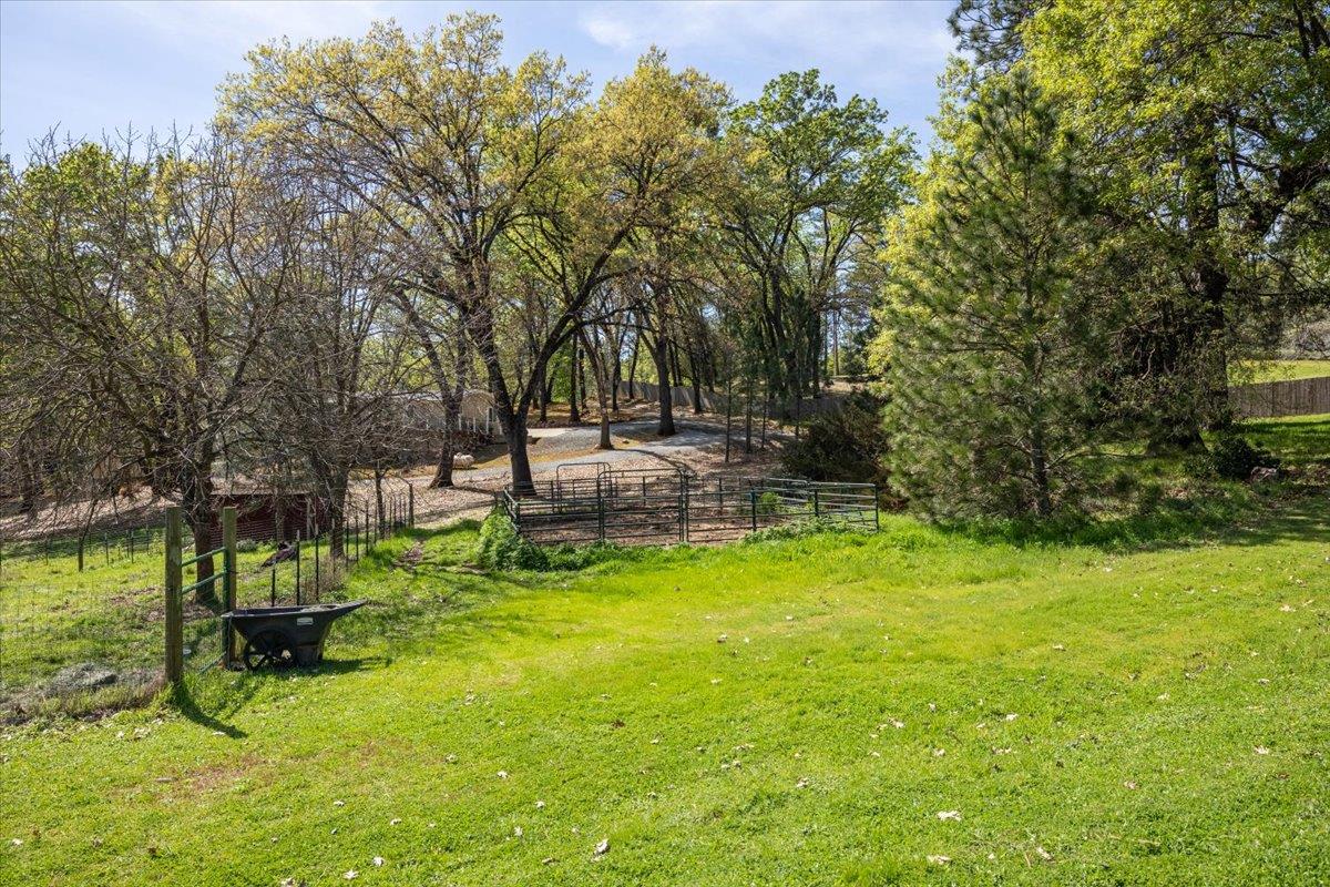 4963 Del Haven Road Placerville, CA 95667 - Photo 42 of 53