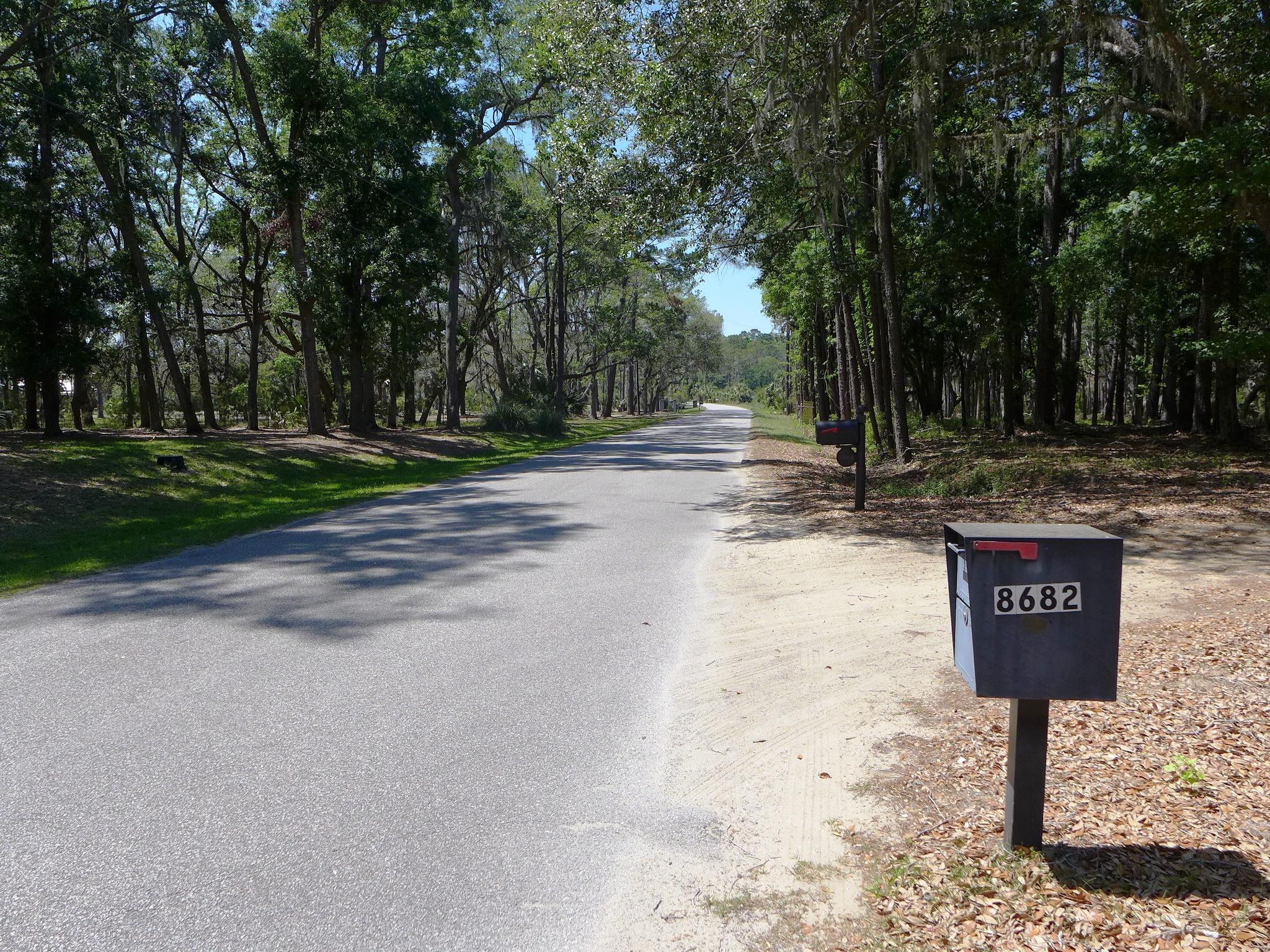 8682 Palmetto Road Edisto Island, SC 29438 - Photo 2 of 39 P1040679