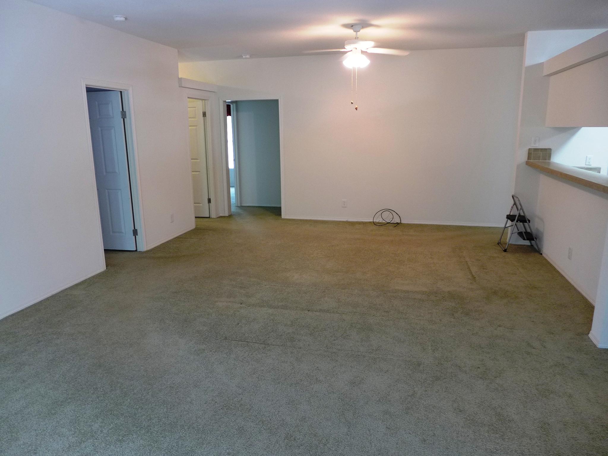 8682 Palmetto Road Edisto Island, SC 29438 - Photo 11 of 39 P1040661