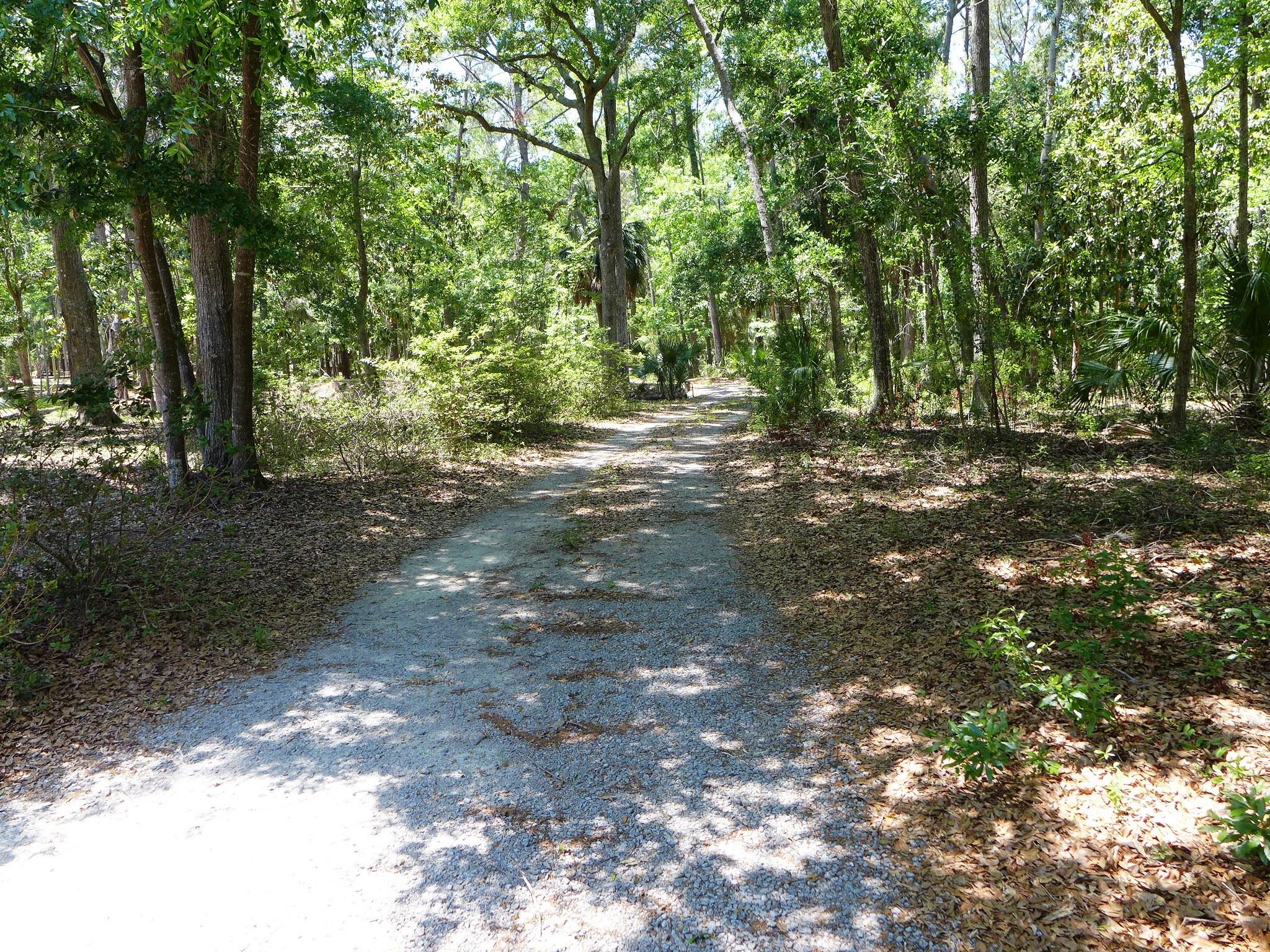 8682 Palmetto Road Edisto Island, SC 29438 - Photo 3 of 39 P1040628